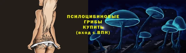 синтетический гашиш Сосновоборск