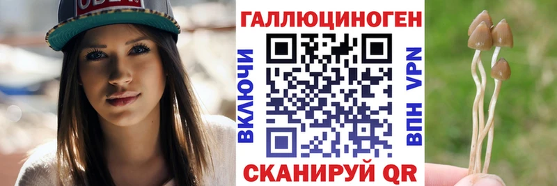 Купить закладки  Устюжна  Галлюциногенные грибы Psilocybine cubensis 