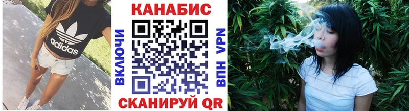 Купить  Устюжна  Бошки Шишки план 